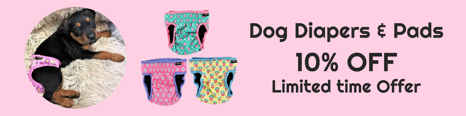 Dog Diapers & Pads