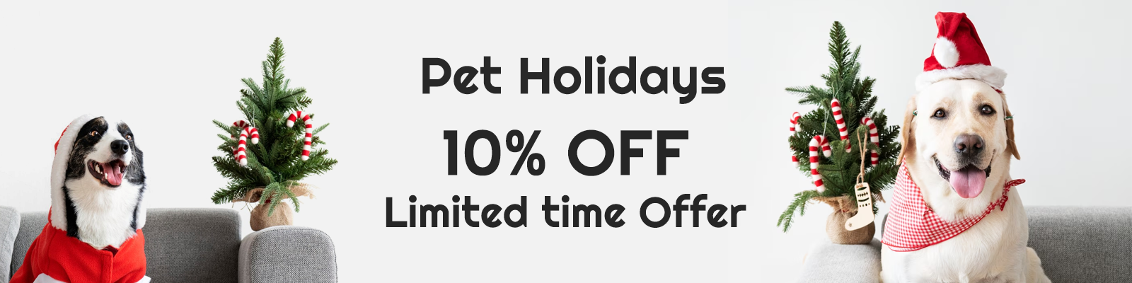 Pet Holidays