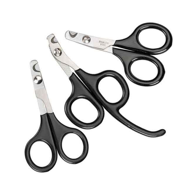 Master Grooming Tools Pet Nail Scissors