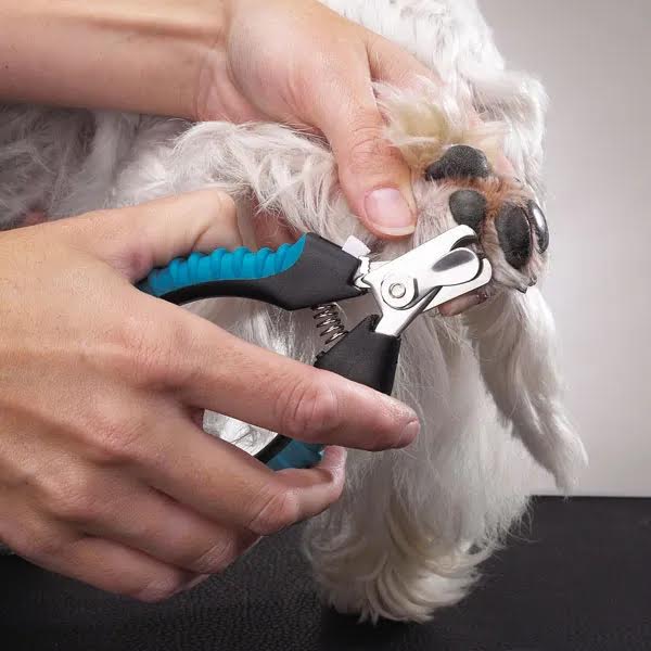 Master Grooming Tools Ergonomic Professional Nail Clippers