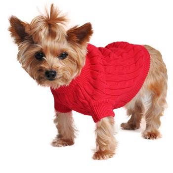 small dog clothes