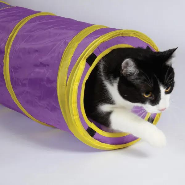 
  
  Scruffy's Collapsible Cat Play Tunnel
  
