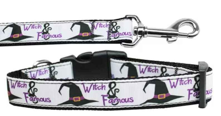 Halloween Pet Dog & Cat Nylon Collar or Leash, "Witch and Famous"