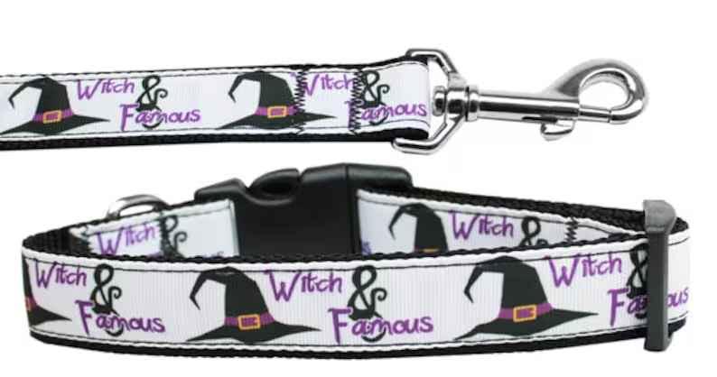 
  
  Halloween Pet Dog & Cat Nylon Collar or Leash, "Witch and Famous"
  
