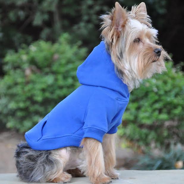 pet clothes for dogs