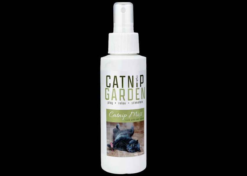 best interactive cat toys