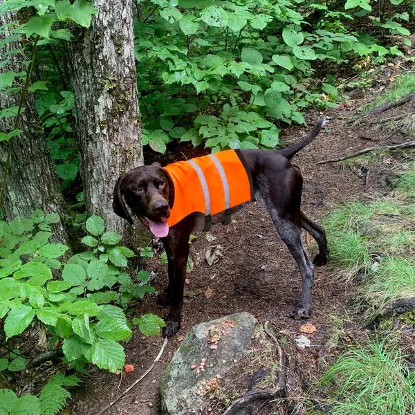 Guardian Gear Safety Vests
