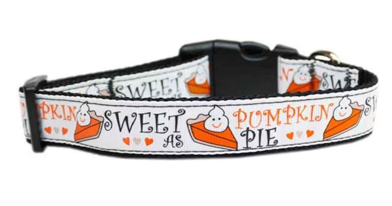 
  
  Pet Dog & Cat Nylon Collar or Leash, "Pumpkin Pie"
  
