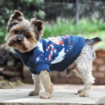 dog winter clothes