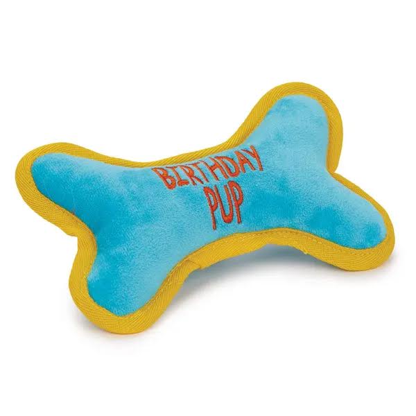 Zanies Birthday Pup Bone Dog Toys