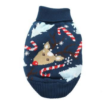dog winter clothes