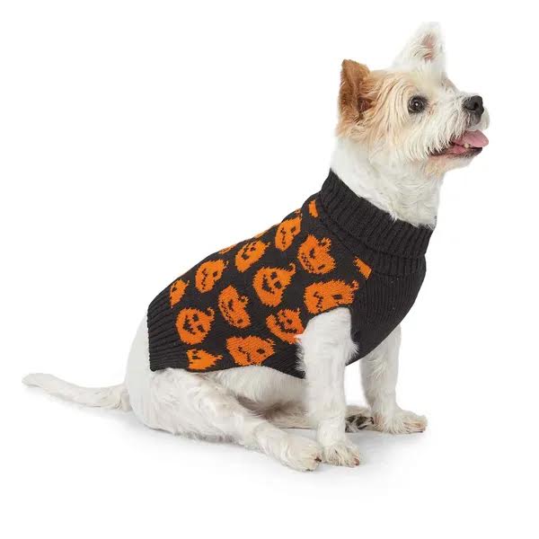 halloween dog sweater Zack & Zoey Jack O' Pumpkin Sweater – alliancepetsupply.com