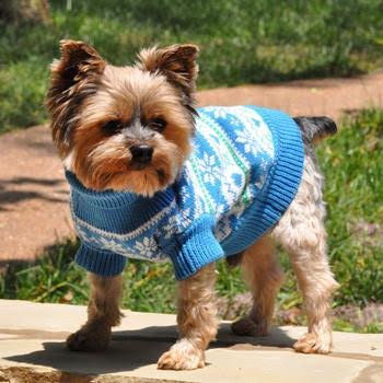 cute dog clothes