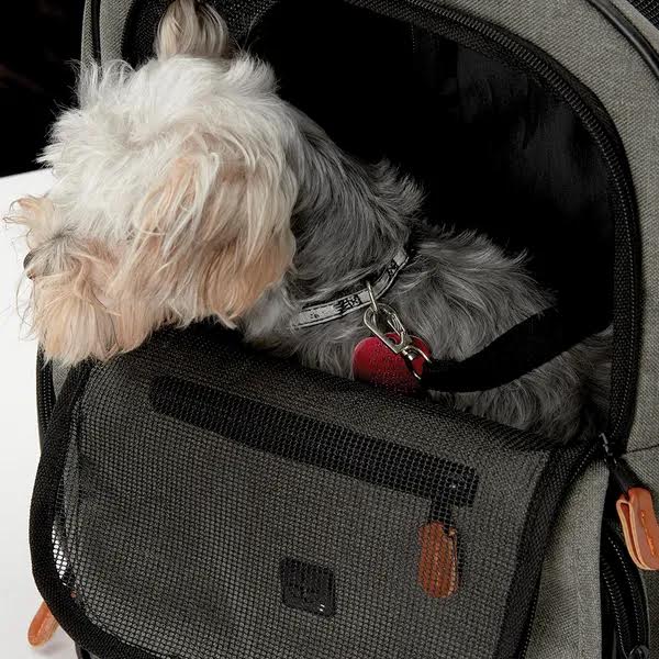 Cruising Companion On The Go Backpack