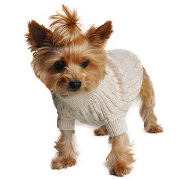 luxury dog clothes