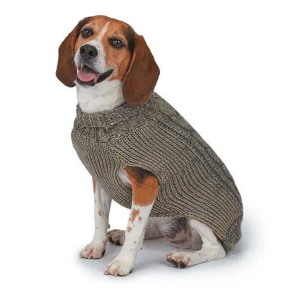 dallas cowboys dog jersey