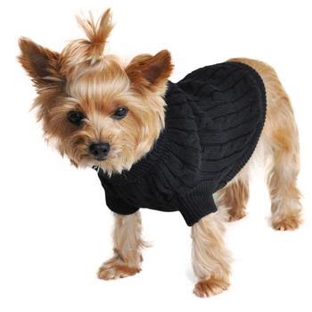 matching dog and human clothes