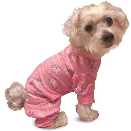 frenchie clothes for dogs