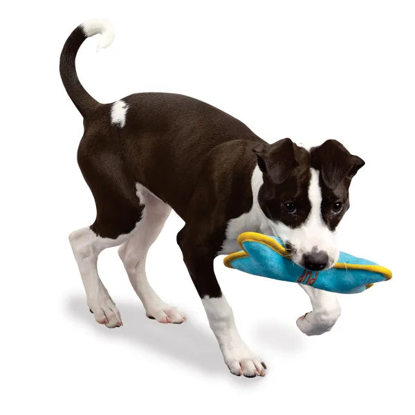 
  
  Zanies Birthday Pup Bone Dog Toys
  
