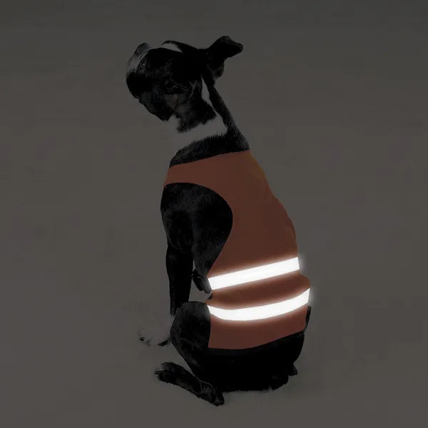 Guardian Gear Safety