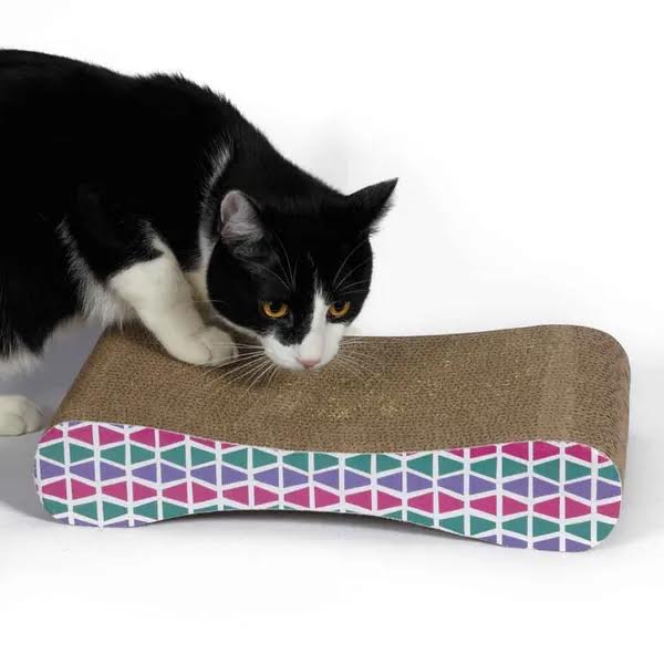 
  
  Pet Park Blvd Wave Scratchers
  
