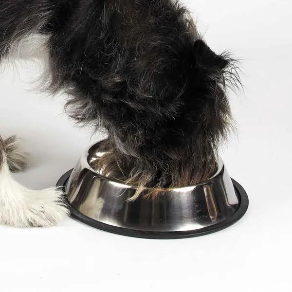 ProSelect X-Super Heavy Duty No-Tip Mirror Bowls – alliancepetsupply.com