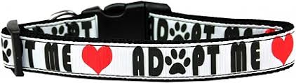 Pet Dog & Cat Nylon Collar or Leash, "Adopt Me"